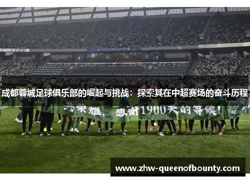 成都蓉城足球俱乐部的崛起与挑战：探索其在中超赛场的奋斗历程