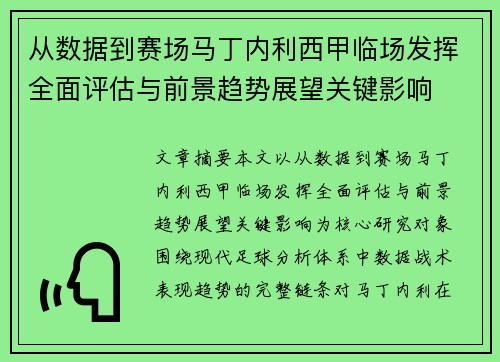 从数据到赛场马丁内利西甲临场发挥全面评估与前景趋势展望关键影响